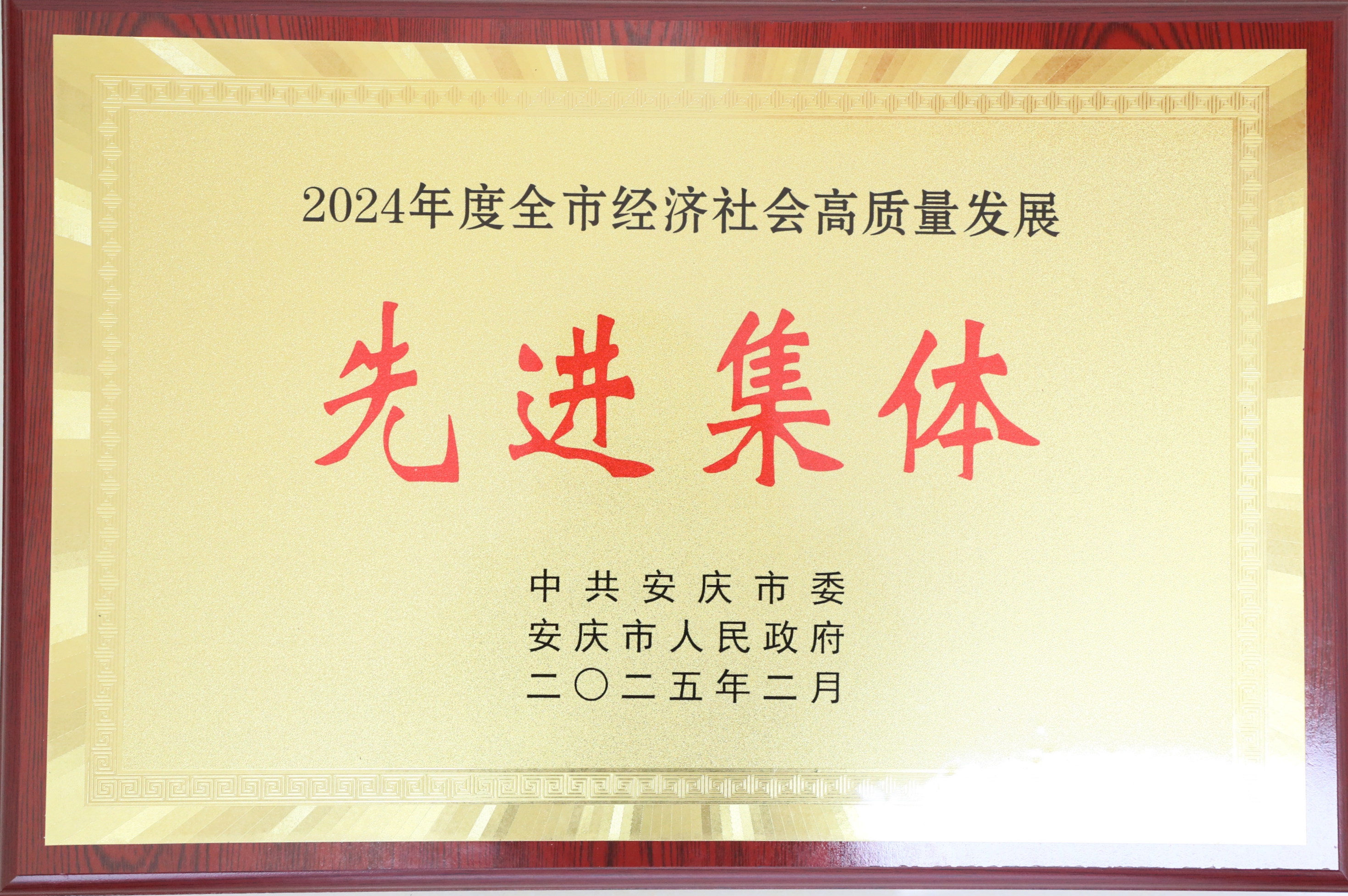 安慶市經濟社會高質量發(fā)展先進集體.jpg